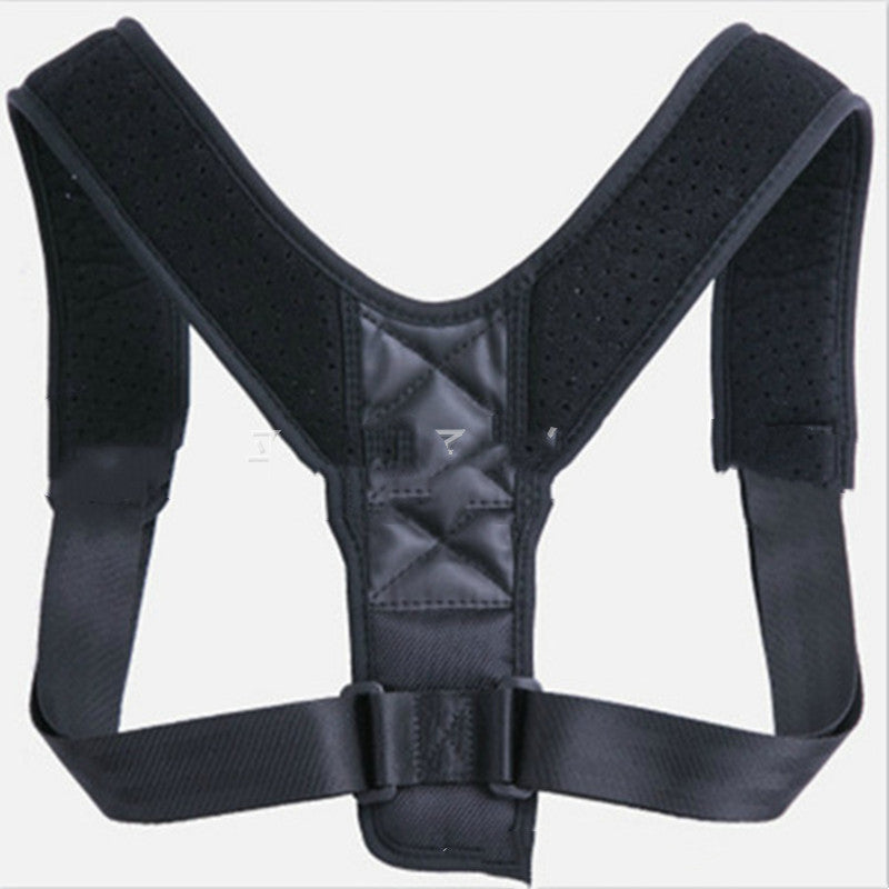 Support Posture Belt